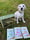 adventureswithmeela