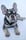 frenchiepupstitch