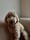 archiethedoodiliciousdoodle
