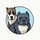 mav_and_pip