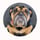 Fiona.englishbully