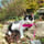 conna.cats