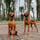 @zoe.thevizsla