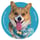 @milo_siliconvalley