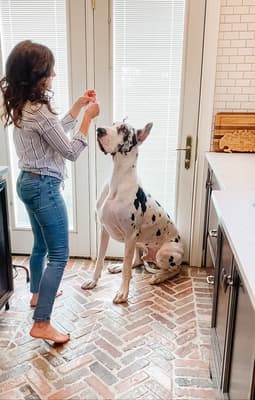 Parker - @lovemargotco