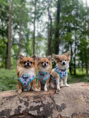 Spenny ,Myles & Eden - @motherofmexicans
