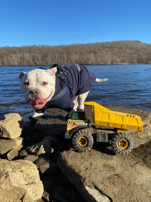 Tonka - @tonkas_journey