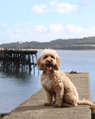 Zara - @world_according_to_zara