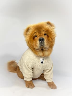 Winnie - @chowchow_winnie_bertie