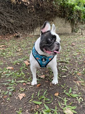 Bruce - @brucefromlondon