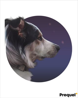 schuyler - @callmea-saint