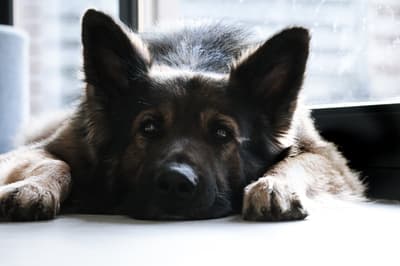 Storm Wante - @theroamerspirits