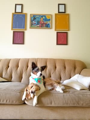 Thor and Wheatley - @thorandwheatleyonthetrail