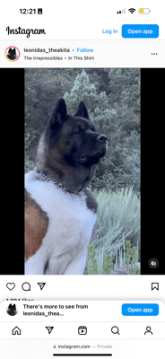 Leonidas - @leonidas-theakita