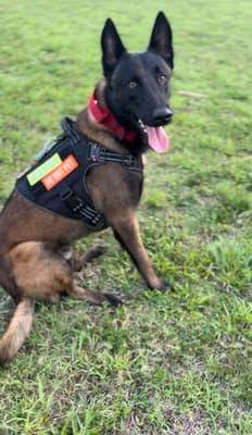 Erebus - @erebus_ofdarkness