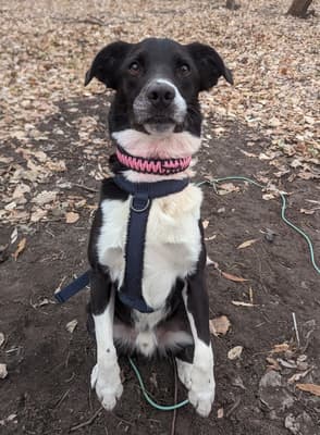 Yhorm - @oldladyandthekidz