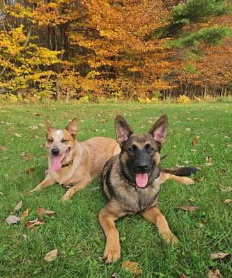 Johnny Cash - @johnnycashheeler