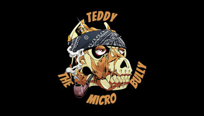 Teddy - @themicrobully