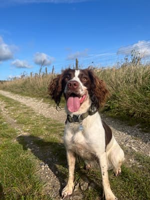 Willow - @lifewithroryandwillow