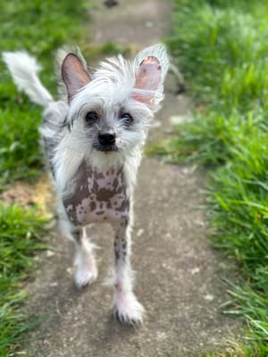 Gigi - @milaandgigiadventures