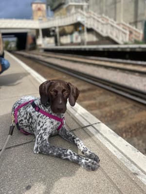 Freya - @life-of-freya