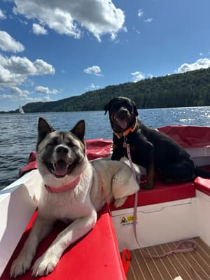 Skye&Nala - @skye-nala-adventures