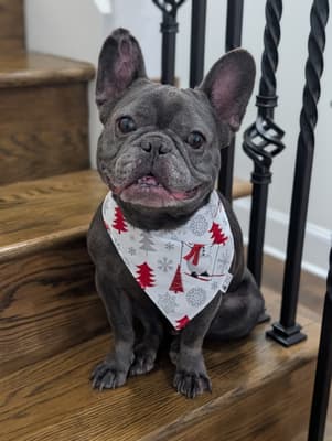 Tucker - @raising_.tucker