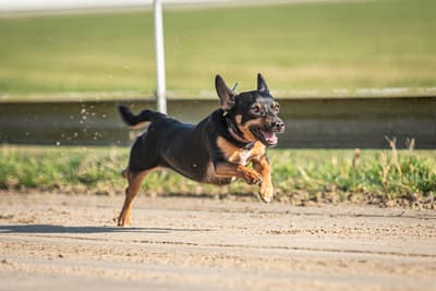 Gaia - @minimissgaia