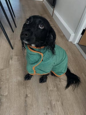 Ralph
