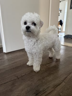 @nk.stylist