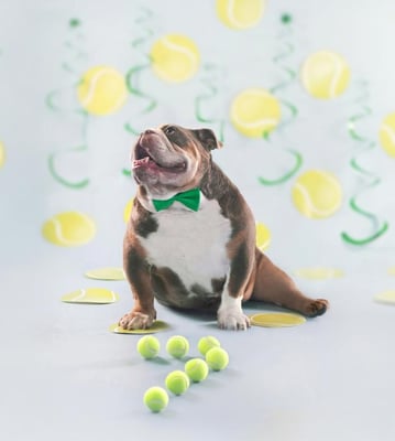 @girlplusbulldogs