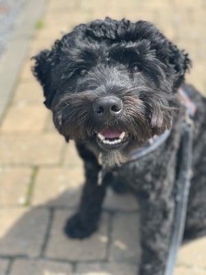 Milo