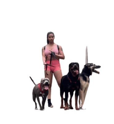 Nya, Aria, Sarge