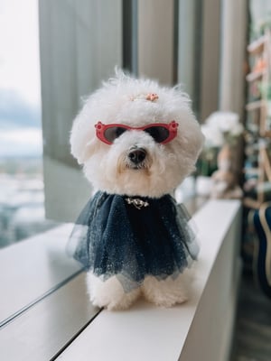 Monty Puff