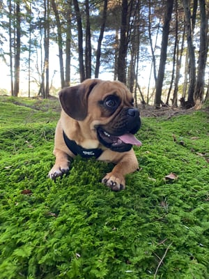 Axel