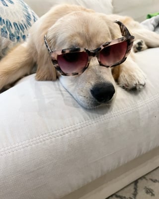 Skye