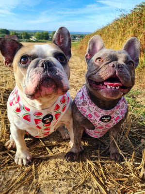 Honey & Blu