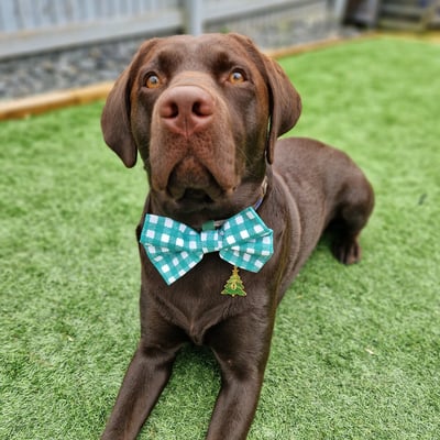 Otis