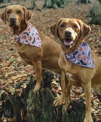 Jasmine and Meg