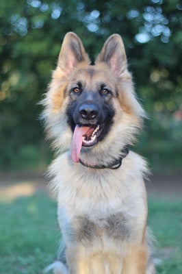 Kaida