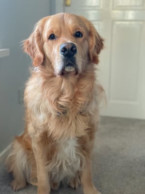 Rory