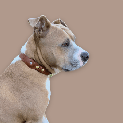 Luca