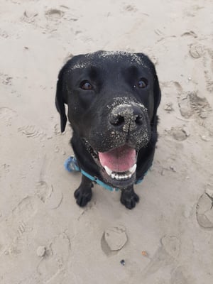 Max