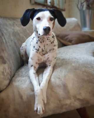Rita