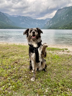 Kona
