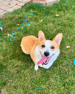 Winnie