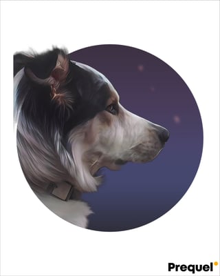 schuyler