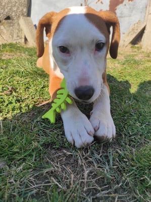 Billy