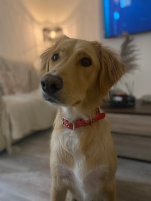 George