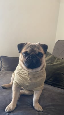 Hugo